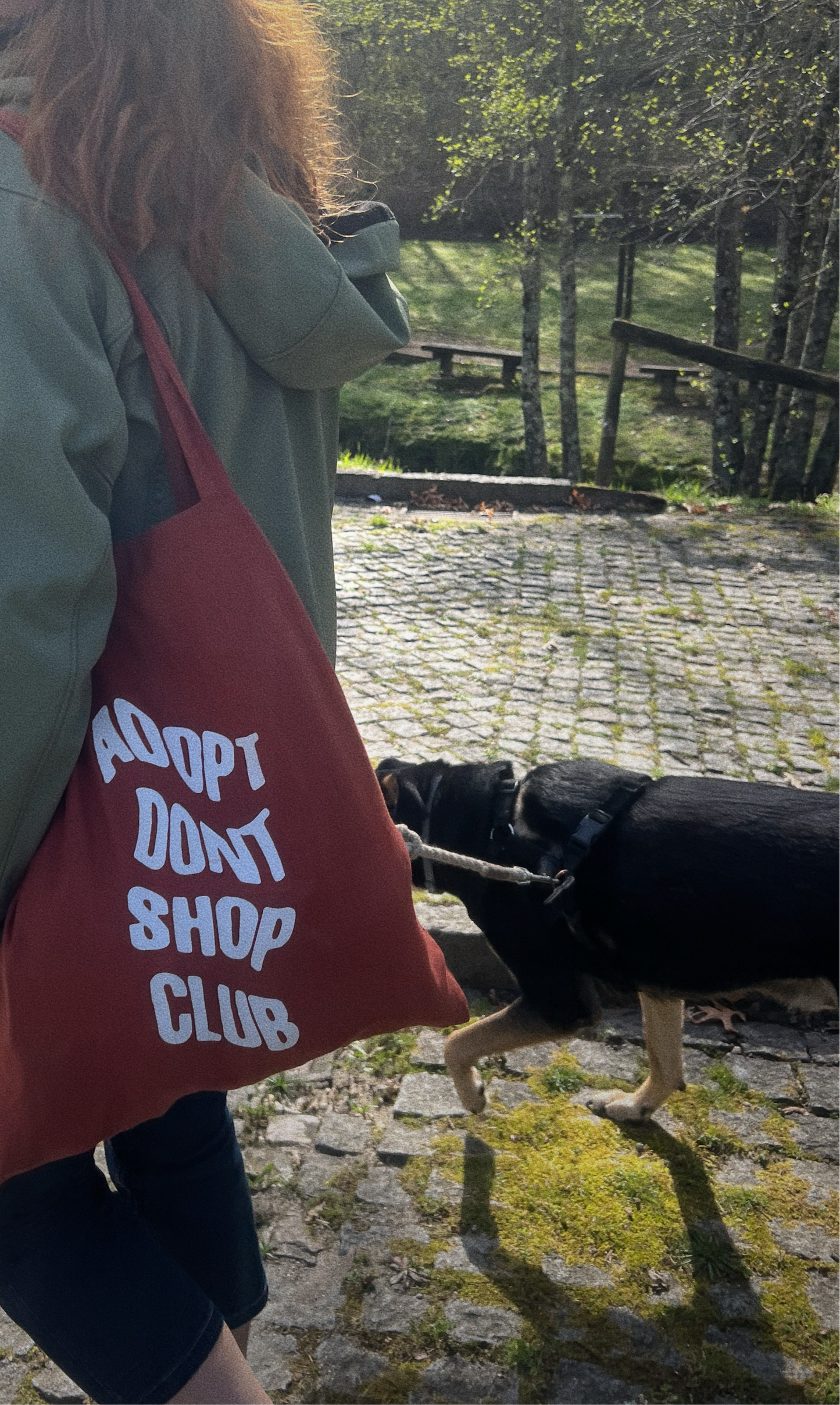 adopt dont shop club