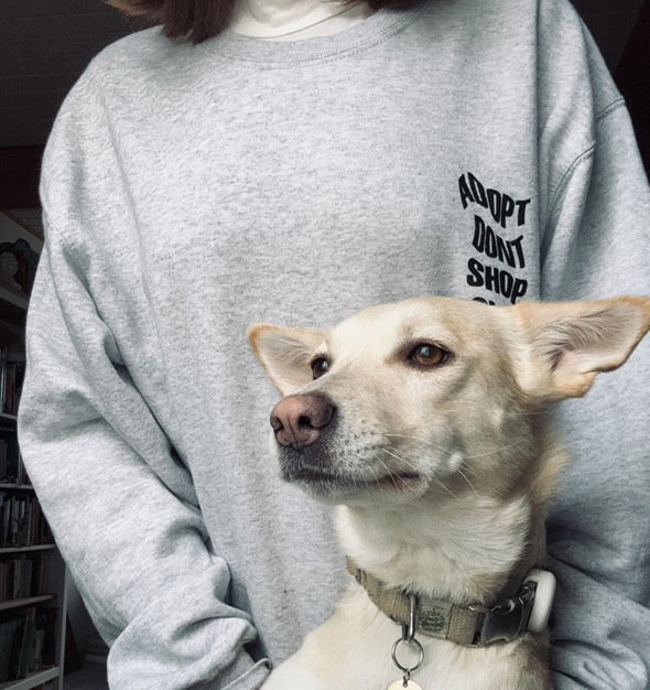 adopt dont shop club