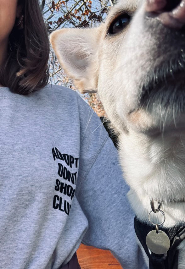 adopt dont shop club