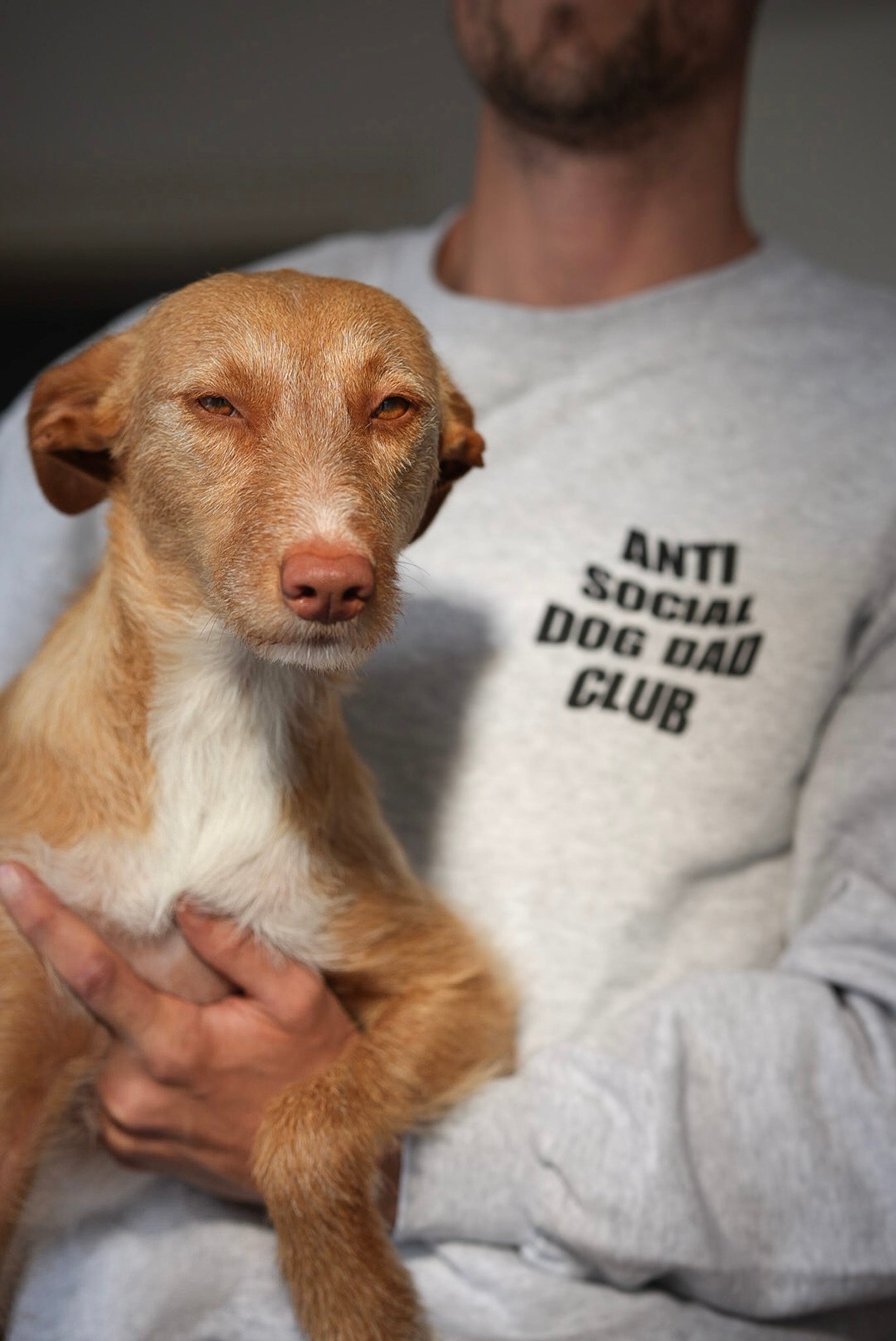 anti social dog dad club sweatshirt