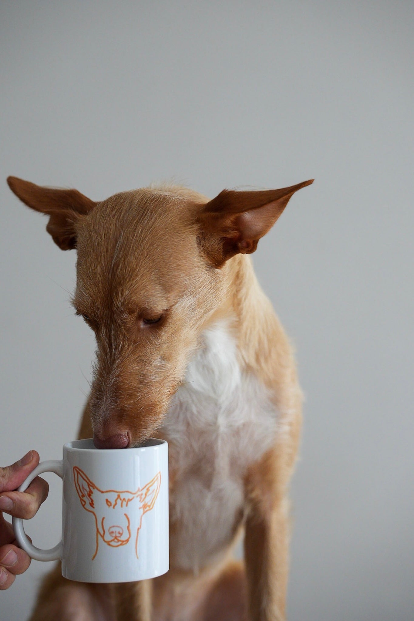 PERSONALISIERTE TASSE