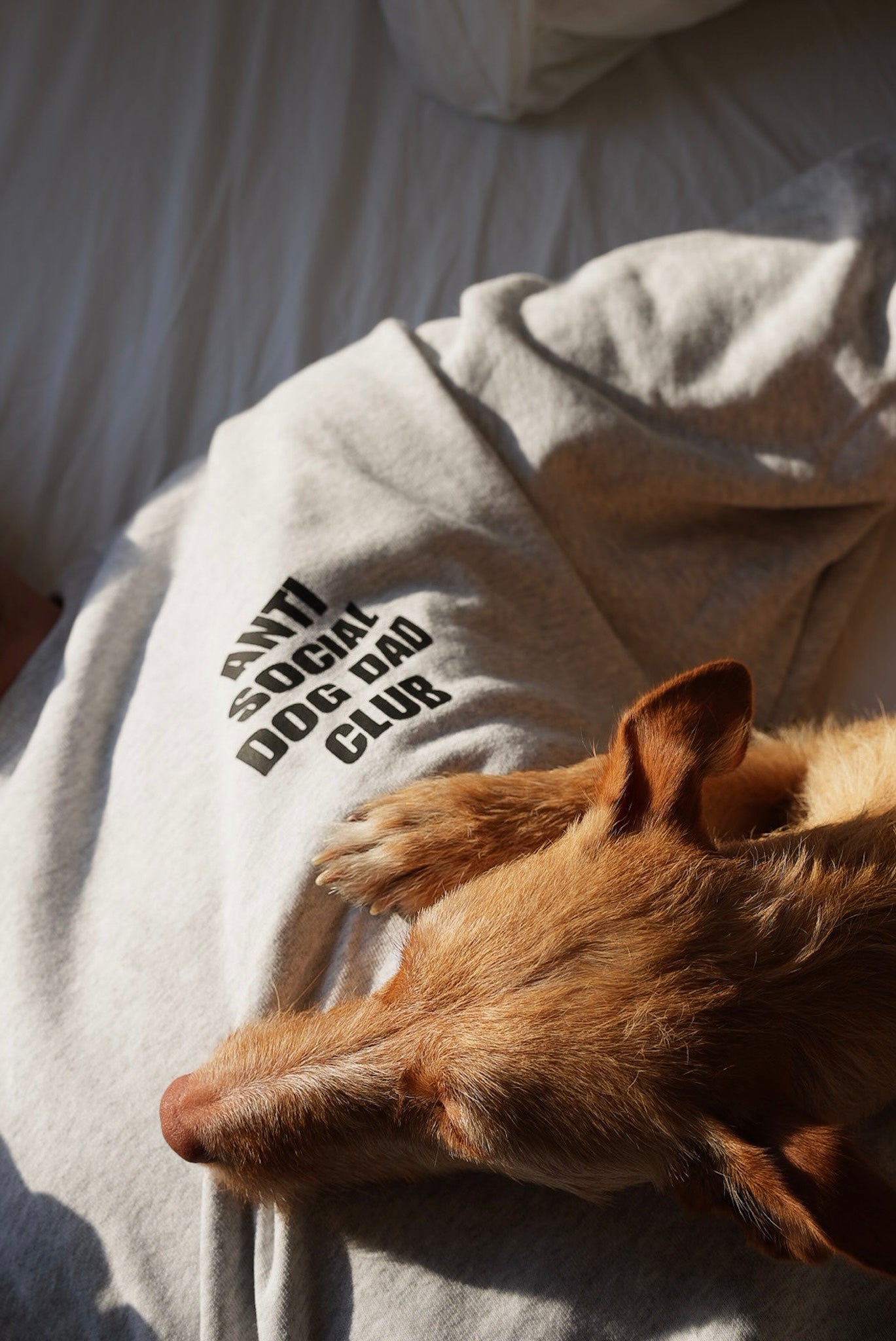 anti social dog dad club sweatshirt