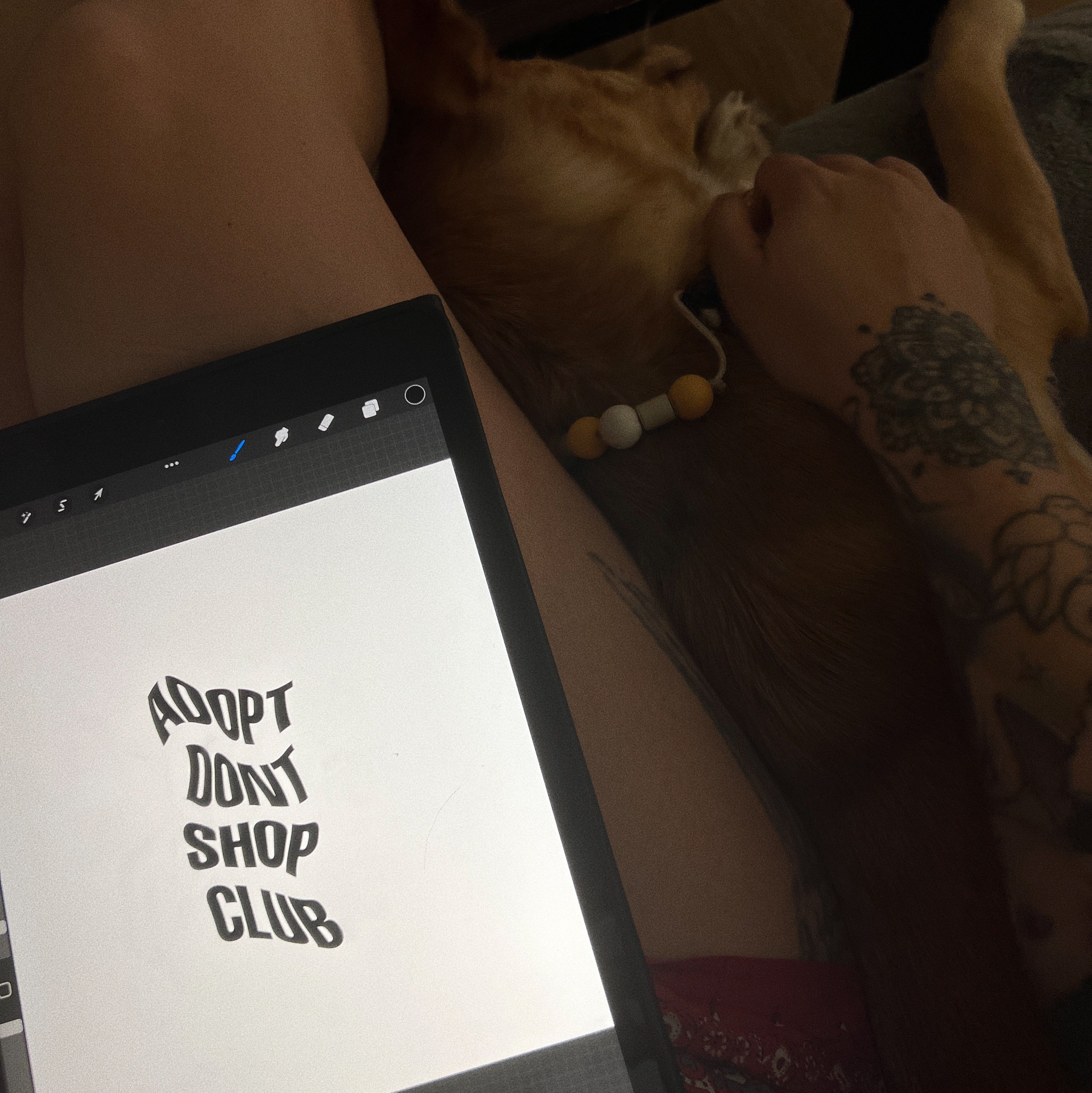 adopt dont shop club